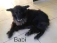 Pedrita e Babi
