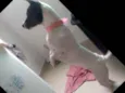 Manchinha