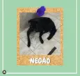 Negão