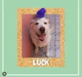 Luck