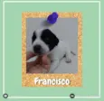 Francisco