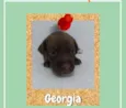 Georgia