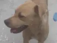 Dora