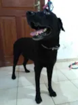 Zulu