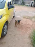 Esperança