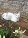 Sem nome