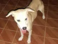 Luck e Dandara
