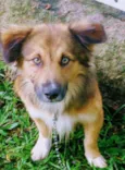 Bolinha