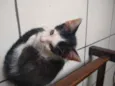 Matias 