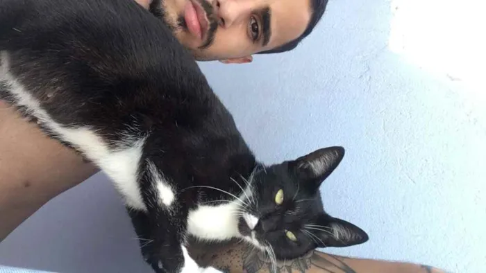 Gato ra a Não identificada  idade 5 anos nome Sem Nome