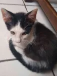 Matias 