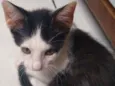 Matias 