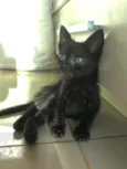 Salem e Sabrina