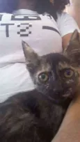 Nala, mendy e sofia