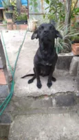 Kiara
