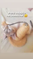 Vitória