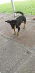 JUBINHA