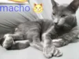 Frederico