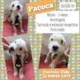 Paçoca
