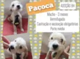 Paçoca
