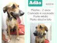 Adão 