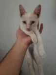 Pac