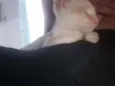 Pac
