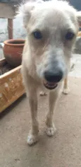 João