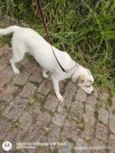 Spiker