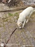 Spiker