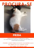 Frida GRATIFICA