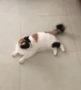 Frida GRATIFICA