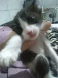 Tom