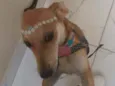 Ametista
