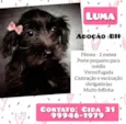 Luma