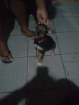 Spayker