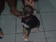 Spayker