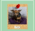 Beth