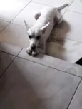 PEPITO E MARTA