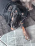 PEPITO E MARTA