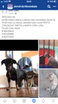 PEPITO E MARTA