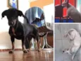 PEPITO E MARTA