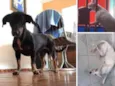 PEPITO E MARTA