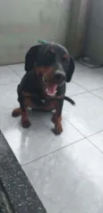 Katuxa