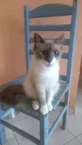 Jamal