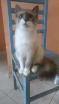 Jamal