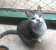Ritinha