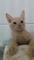 Leon