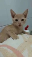 Leon