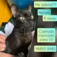 Netuno
